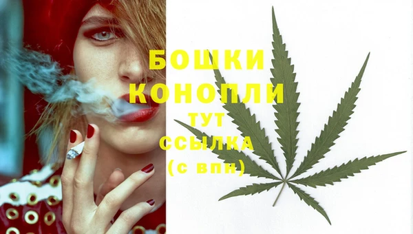 дживик Баксан