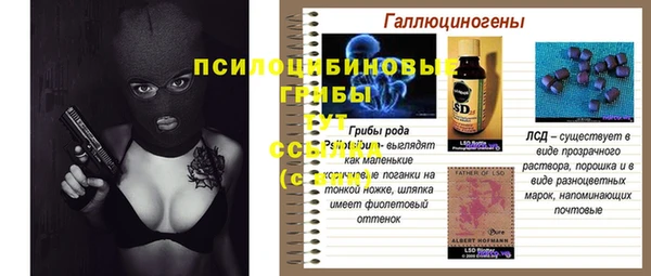 дживик Баксан