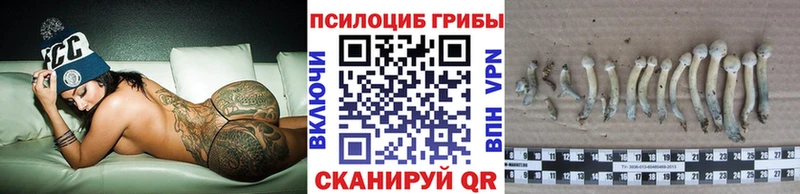 Псилоцибиновые грибы Cubensis  закладка  Кяхта 